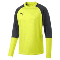 Puma Herren Pullover Cup Training Sweat Core 656021