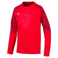 Puma Kinder Pullover Cup Training Sweat Core Jr 656022