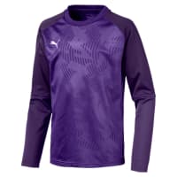 Puma Kinder Pullover Cup Training Sweat Core Jr 656022