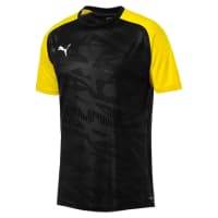 Puma Herren Trainingstrikot Cup Training Jersey Core 656027
