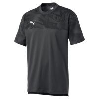 Puma Herren T-Shirt Cup Casuals Tee 656038