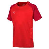 Puma Kinder T-Shirt Cup Sideline Tee Core Jr 656052