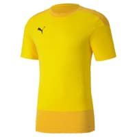 Puma Herren Trainingstrikot teamGOAL 23 Training Jersey 656482