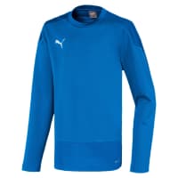 Puma Kinder Sweatshirt teamGOAL 23 Training Sweat Jr 656568