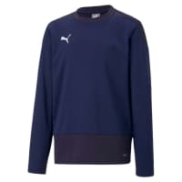 Puma Kinder Sweatshirt teamGOAL 23 Training Sweat Jr 656568