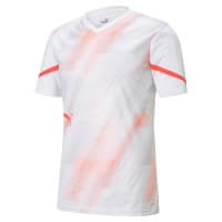 Puma Herren Trainingsshirt IndividualCUP Jersey 657209