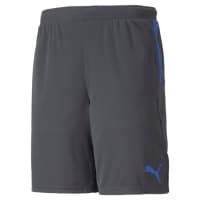 Puma Herren Shorts individualCUP Shorts 657546