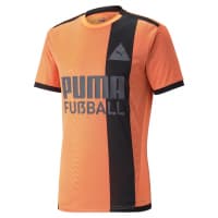 Puma Herren Trikot Fußball Park Jersey 657581