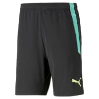 Puma Herren Short teamLIGA Training Shorts 2 657667