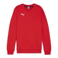 Puma Kinder Pullover teamGOAL Casuals Crew Neck Sweat Jr 658593