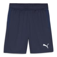 Puma Herren Short teamGOAL Training Short 658643