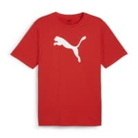 Puma Herren T-Shirt teamRISE Logo Jersey Cotton 658705