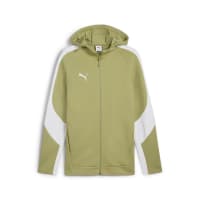 Puma Herren Sweatjacke EVOSTRIPE Hooded Jacket 659947
