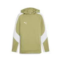 Puma Herren Kapuzenpullover teamEVOSTRIPE Hoody 659954