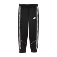 Puma Herren Trainingshose teamKING Anthem Pants 660535