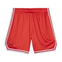 Puma Herren Shorts Hoops Team Game Short 676629