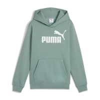 Puma Kinder Kapuzenpullover ESS No. 1 Logo Hoodie FL B 684908