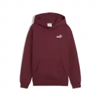 Puma Kinder Kapuzenpullover ESS Small No. 1 Logo Relaxed Hoodie FL 684921