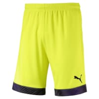 Puma Herren Short Cup Shorts 704034