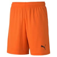 Puma Kinder Short teamGOAL 23 knit Shorts jr 704263