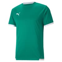 Puma Kinder Trikots teamLIGA Jersey Jr 704925