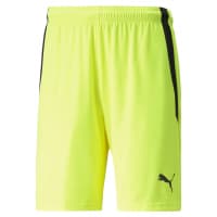 Puma Herren Shorts teamLIGA Shorts 704924