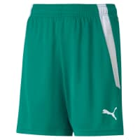 Puma Kinder Shorts teamLIGA Shorts Jr 704931