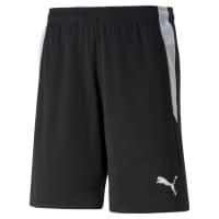 Puma Herren Schiedsrichter Short teamLIGA Referee Shorts 705453