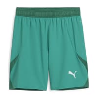 Puma Herren Short teamFINAL Shorts 705743
