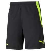 Puma Herren Borussia Dortmund Shorts BVB Training Shorts 759143