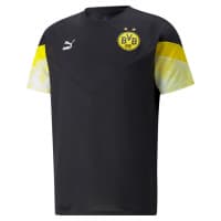 Puma Herren Borussia Dortmund T-Shirt BVB Iconic MCS Tee 765038