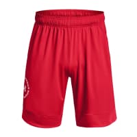 Under Armour Herren Shorts Train Stretch Graphic 1373420