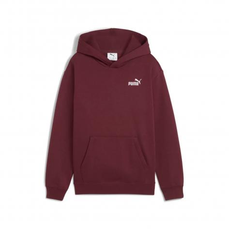 Puma Kinder Kapuzenpullover ESS Small No. 1 Logo Relaxed Hoodie FL 684921 