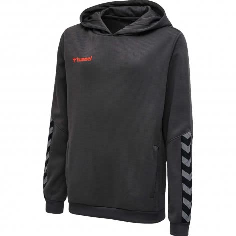 Hummel Kinder Hoodie Authentic Poly 204931 