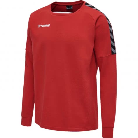 Hummel Herren Sweatshirt Authentic Training Sweat 205373 