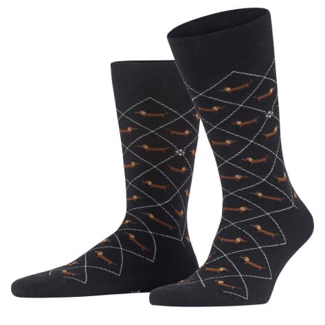 Falke Herren Socken Dachshund SO 21200-3000 40-46 Black | 40-46