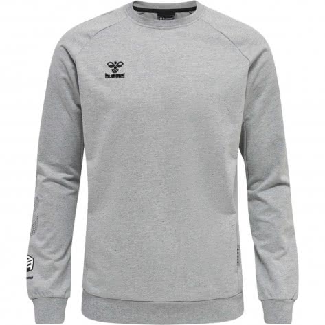Хлопковая толстовка Hummel Herren Kapuzenpullover hmlMove Grid 214788 6490₽
