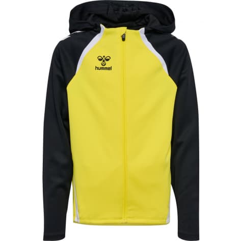 Hummel Herren Kapuzenjacke LEAD 2.0 ZIP HOODIE 223759 