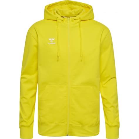 Толстовка с капюшоном Hummel Herren Kapuzenjacke hmlGO 2.0 на молнии 224837