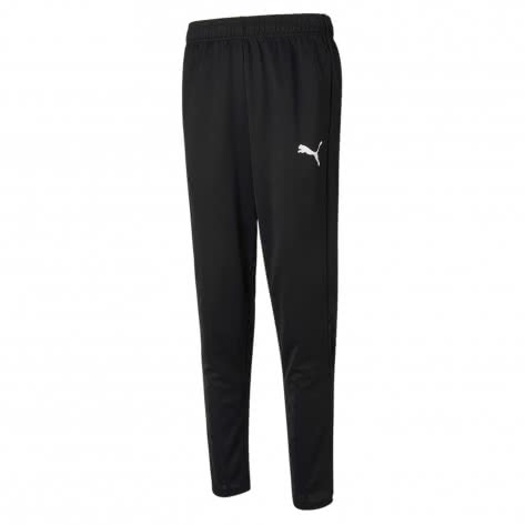 Спортивные трикотажные брюки Puma Herren Trainingshose Active 586731
