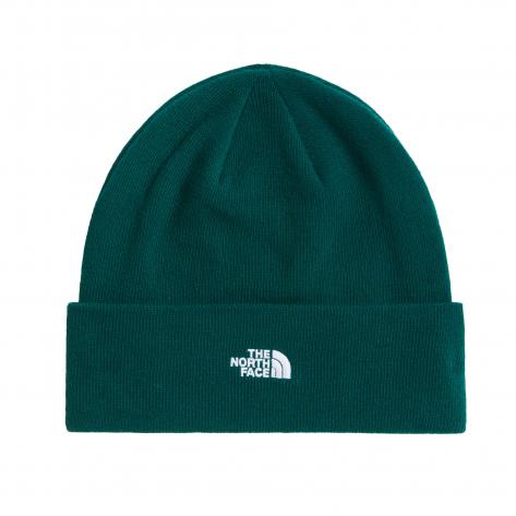 The North Face Unisex Mütze Norm Beanie 5FW1 