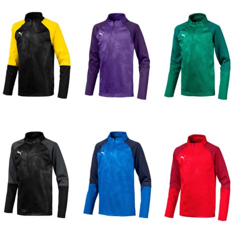 Puma Kinder Pullover Cup Training 1/4 Zip Core Jr 656019 
