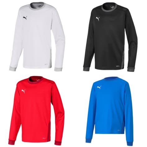 Puma Kinder Langarm Trikot teamGOAL 23 Jersey LS jr 704261 