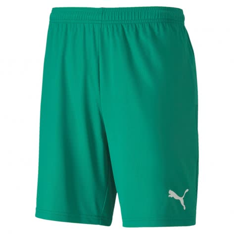 Puma Herren Short teamGOAL 23 Knit Shorts 704262 
