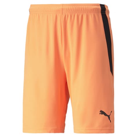 Puma Herren Shorts teamLIGA Shorts 704924 