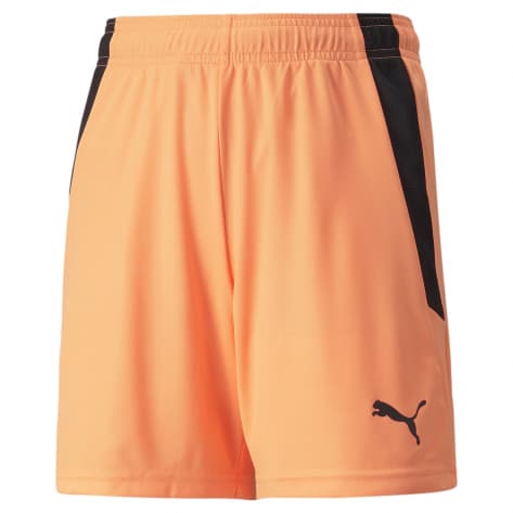 Puma Kinder Shorts teamLIGA Shorts Jr 704931 