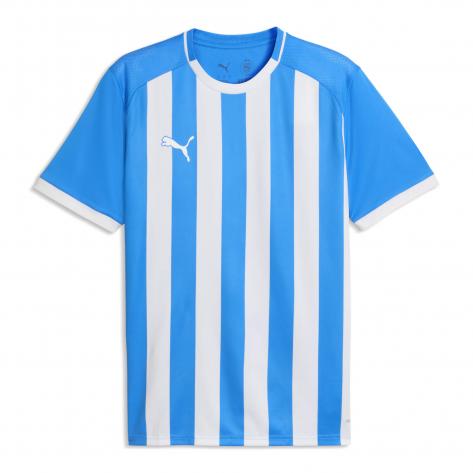 Puma Herren Trikot teamLIGA26 Striped Jersey 706550 