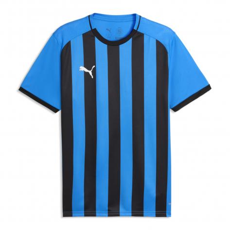 Puma Herren Trikot teamLIGA26 Striped Jersey 706550 