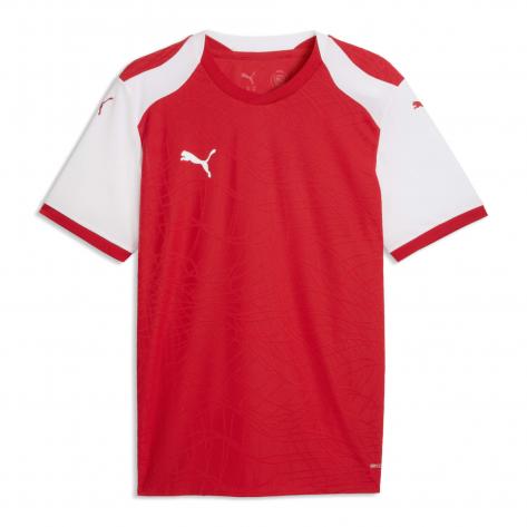 Puma Herren Trikot teamFINAL26 Knit Jersey 706651 