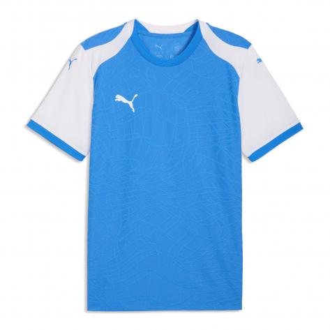 Puma Herren Trikot teamFINAL26 Knit Jersey 706651 